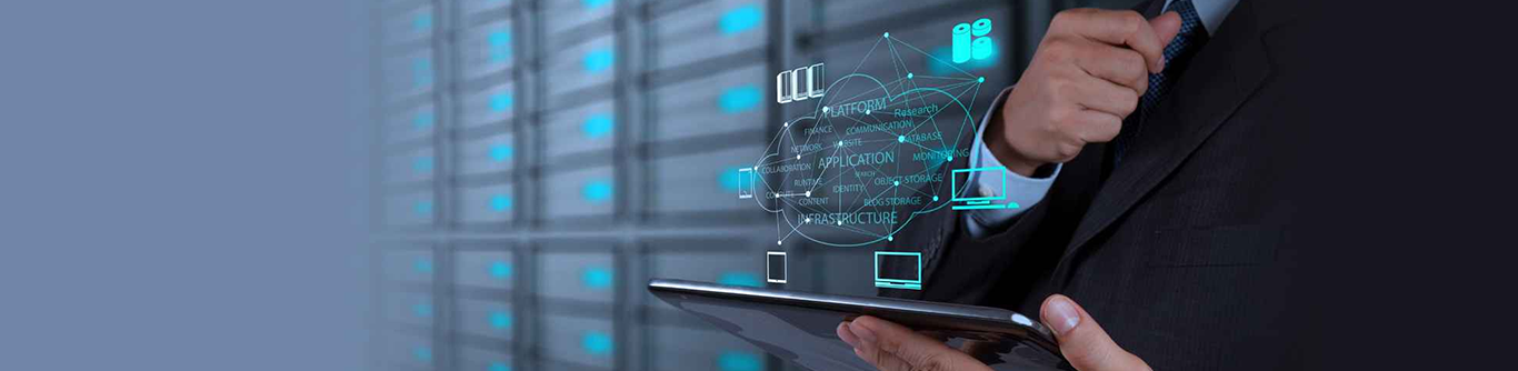 Network Infrastructure & Support